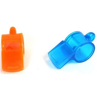 GROTE FLUIT, 5.5 Cm (48st.)