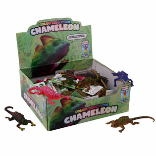 COLOR CHANGING KAMELEON IN DISPLAY (48st.)
